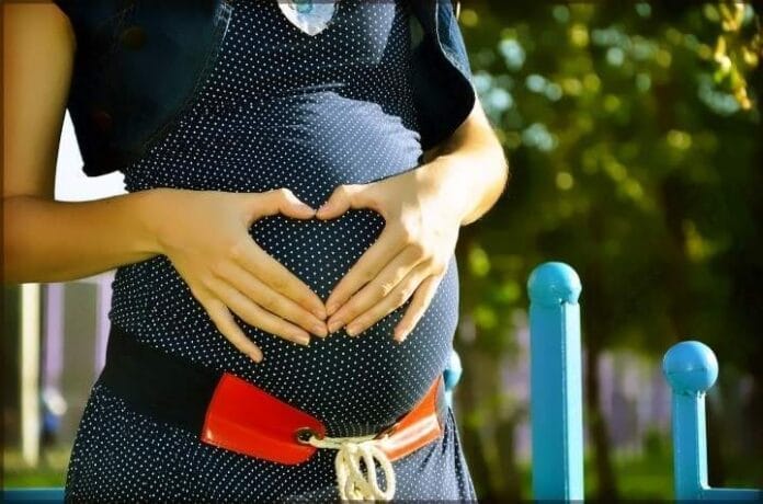 Best Body Pillow During Pregnancy Best Body Pillow During Pregnancy